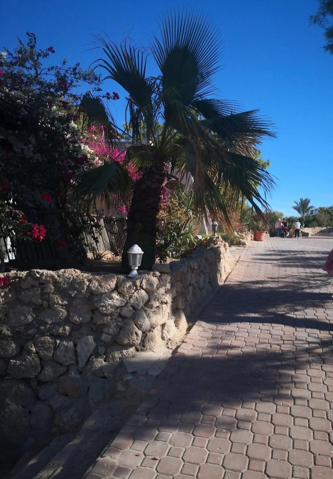 Cordoba Suites Hurghada Exterior photo